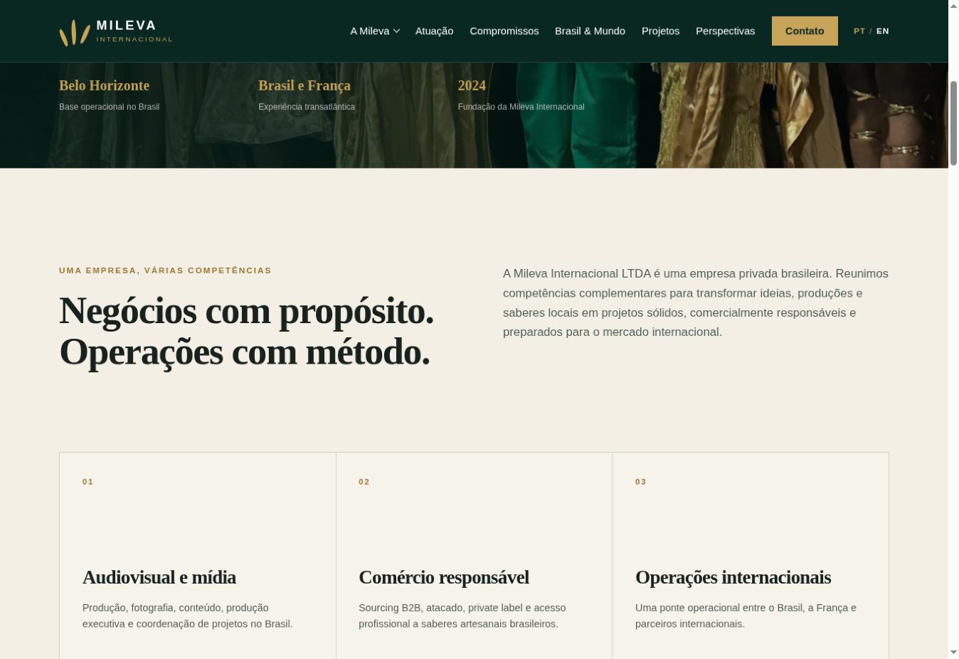 Detalhe da interface — Mileva International